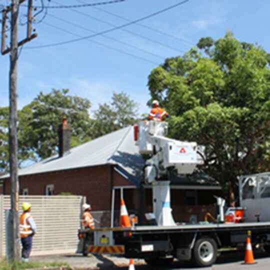 Two ausgrid workers in orange vests watching another worker in a cherry picker pruning a tree